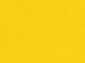 1000 COLORS 5007