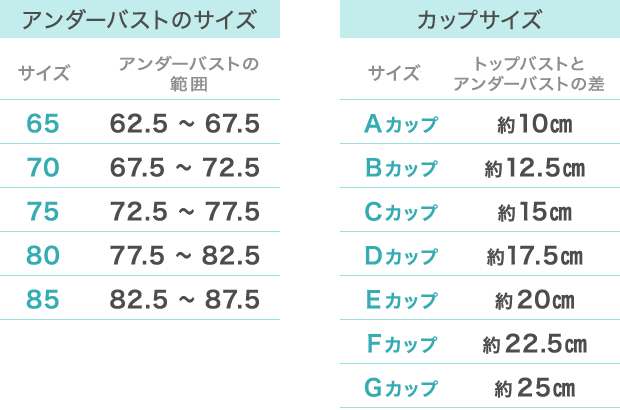 アンダーバストのサイズ/カップサイズ