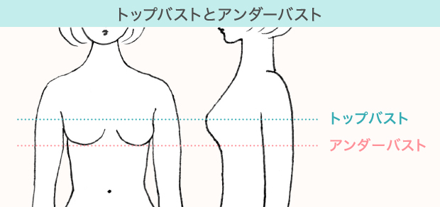 知っているつもりで知らないかも ブラジャーのサイズの測り方 キホンのキ 株式会社ルシアン 公式サイト